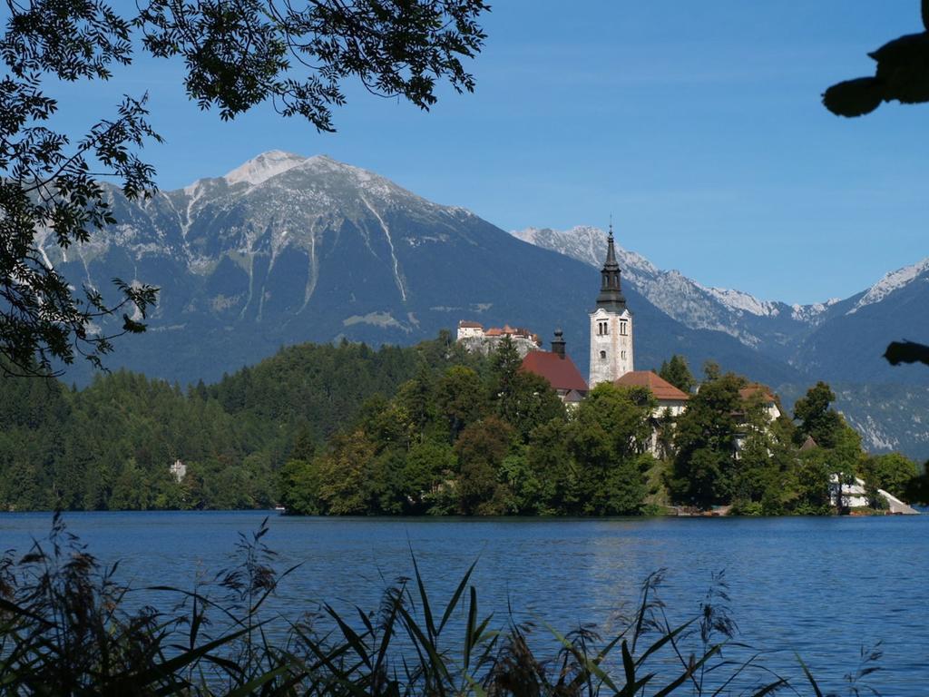 Holiday Home Katricnek Bohinjska Bela Room photo